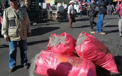 Conozca qué especies están en peligro y requieren autorización para comercializarla