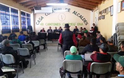 48 Cantones se organiza para proteger pinabete