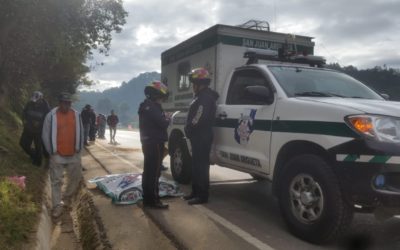 Hombre muere arrollado en la ruta Interamericana