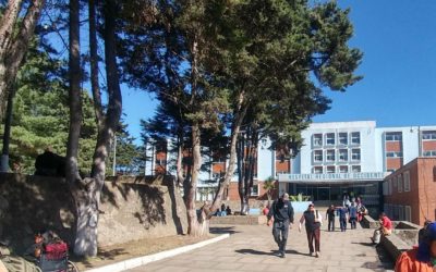 HRO atiende 164 casos de abuso sexual