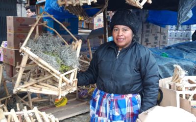 Hace casitas y pesebres para nacimientos, desde hace 18 años en Xela