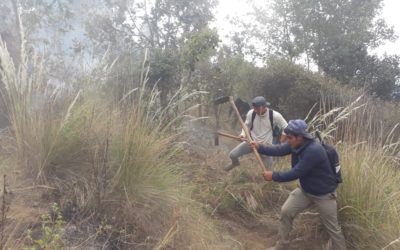 Guardarecursos ejecutan plan para prevenir incendios forestales