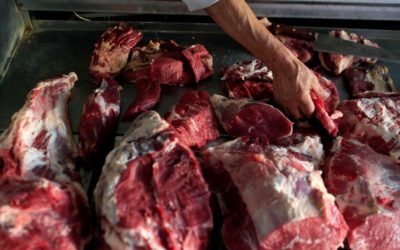 Francia: 795 kilos de carne podrida importada desde Polonia
