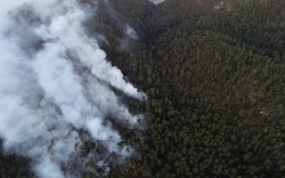 Cuatro incendios forestales en Quetzaltenango