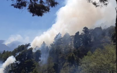 Más de 40 incendios forestales en Quetzaltenango, en lo que va de 2019