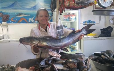 DIACO realiza monitoreos ante aumento en precios de mariscos