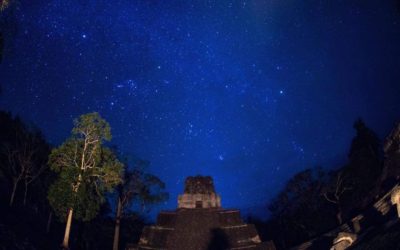 El Halcón Pecho Naranja está en peligro de extinción. Aplican medidas en Tikal