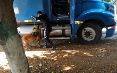 Operativo antinarcótico en Coatepeque, se incautó 4 paquetes con cocaína