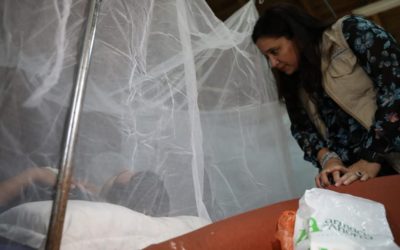 Alerta: Se triplican casos de dengue en Quetzaltenango