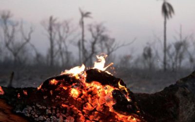 Incendios en la Amazonía boliviana: “No hay palabras”, dice representante indígena