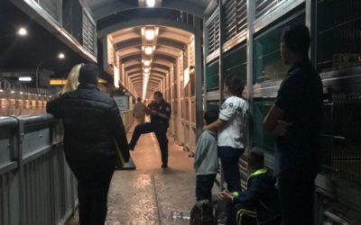 La representación legal es un reto para migrantes regresados a México