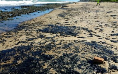 Venezuela niega su implicación en la misteriosa marea negra en las playas brasileñas