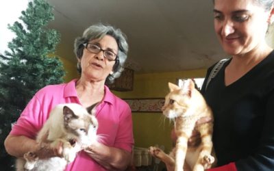 Venezolanos se las ingenian para cuidar a sus mascotas en plena crisis económica