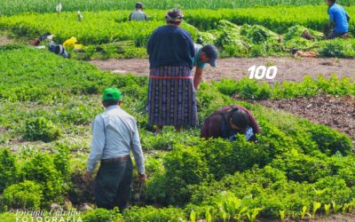 ¿Cómo beneficia a comerciantes de Almolonga la reactivación económica en El Salvador?