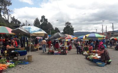 Abrirán mercado Terminal Minerva