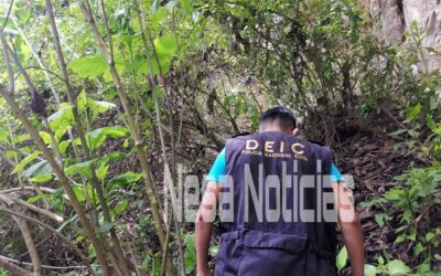 Localizan cadáver desmembrado en Cantel