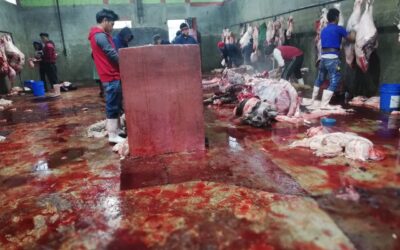 San Juan Ostuncalco: Vecinos reportan condiciones insalubres en el Rastro Municipal