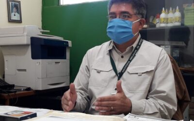 Dejarían de sembrar 25 mil árboles