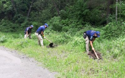 Agentes PNC siembran 150 árboles en el Cerro El Baúl y dicen que ahora mantendrán cuidado de los mismos