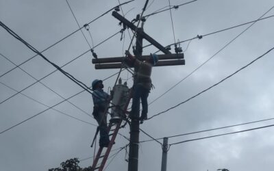¿Por qué las aves provocan cortes de energía eléctrica en Xela?