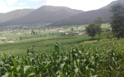 Localizan osamenta humana en Cantel