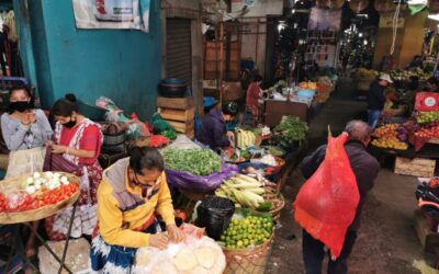 Quetzaltenango: Trabajadores de la Terminal Minerva cumplen cuarentena preventiva y retornan a labores