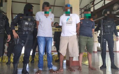 Les incautan más de 300 kilos de cocaína