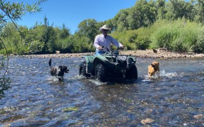 Pandemia y economía, medidores electorales para un ranchero hispano en EE.UU.