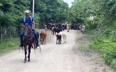 Nicaragua: la difícil vida en el campo en medio de la pandemia
