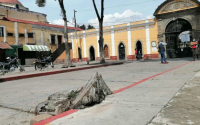 Pretenden construir monumento con árboles en las afueras del Cementerio General de Xela