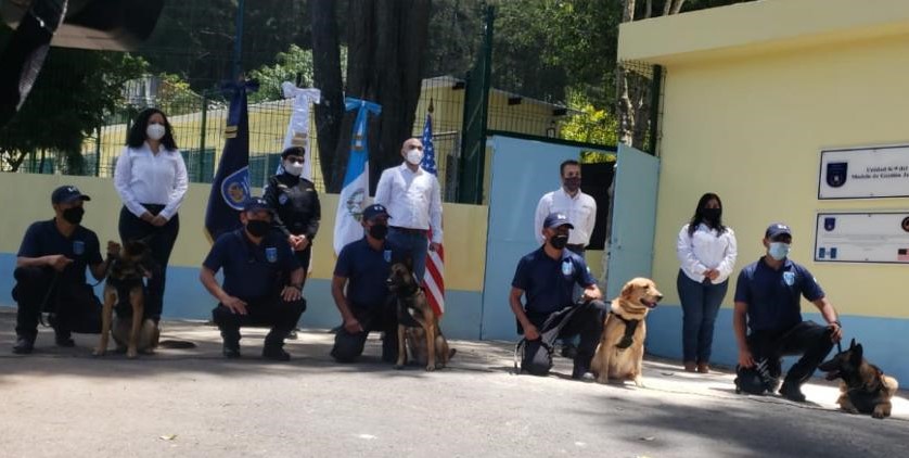 WhatsApp Image 2020-08-31 at 13.43.02