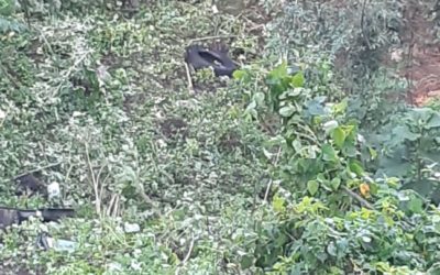 Cuatro personas heridas al caer a hondonada de unos 60 metros