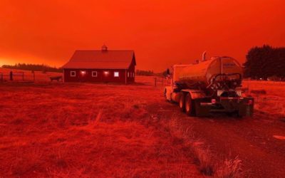 Al menos 10 muertos por incendio forestal en California