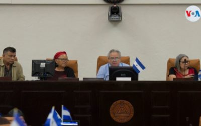 Ortega pretende controlar financiamientos externos a oposición y medios