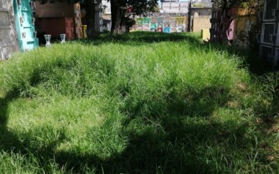 Limpieza en el Cementerio General de Quetzaltenango, luego de medio año de estar cerrado por la pandemia