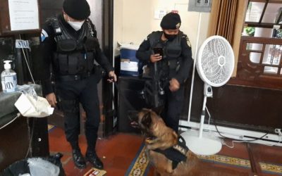 Detectan droga en paquete que venía de Francia