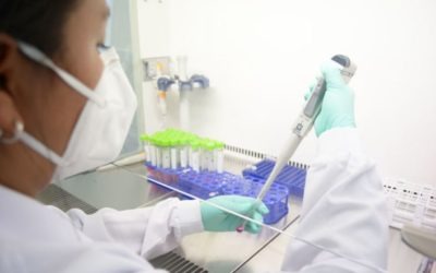 Estudio británico: anticuerpos contra COVID-19 disminuyeron rápidamente