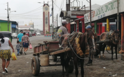 Encuesta: nicaragüenses más preocupados por desempleo que por COVID-19