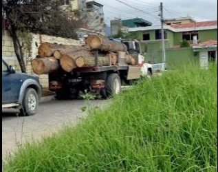 PNC incauta camión que transportaba, sin documentación, trozos de árboles