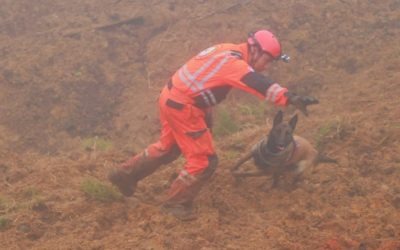 ¿Quién es “Maya”, de la Patrulla Canina, que localizó dos cadáveres en Huehuetenango?
