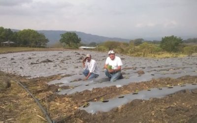 Nicaragua: agricultores preocupados por cosechas tras paso de huracanes