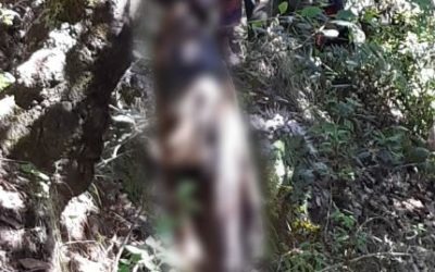 Hallan cadáver, en estado de descomposición, en Sololá