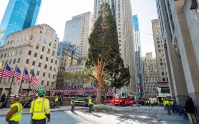 El árbol de navidad más famoso del mundo ha llegado otro año más al Rockefeller Center