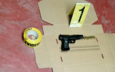 Expertos en explosivos neutralizan un artefacto explosivo, en Santa Rosa