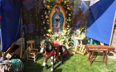 Menos de la mitad de vendedores se podrán instalar para la celebración de la Virgen de Guadalupe