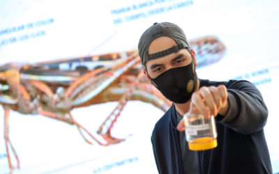 Solidaridad de El Salvador y el presidente Nayib Bukele, con el pueblo de Costa Rica