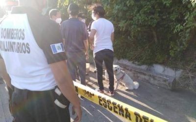 Mujer de origen coreano es encontrada fallecida, cerca del cadáver permanecía su mascota