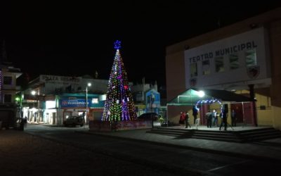 Atípico encendido de árbol navideño