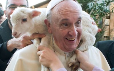 Papa Francisco cumple 84 años de edad