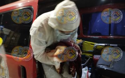 Abandonan a bebé en la Terminal Minerva de Xela